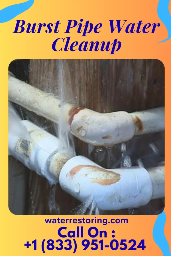 Burst Pipe Water Cleanup in Powell, TX