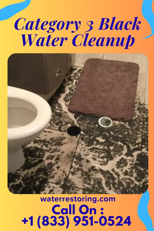 Category 3 Black Water Cleanup in Powell, TX