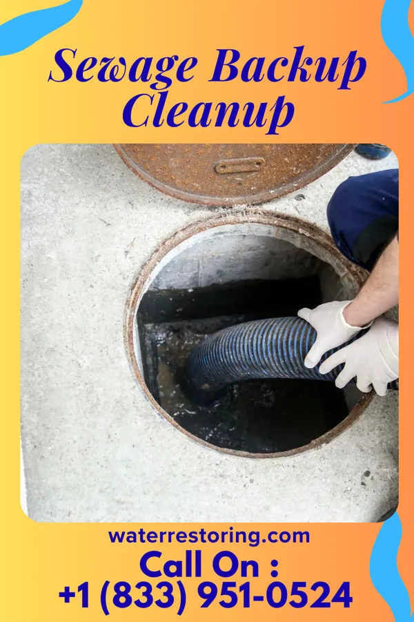 Sewage Backup Cleanup in Powell, TX